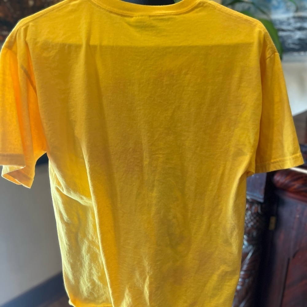 Chicago Windy City t-shirt size medium in GUC - Picture 4 of 4
